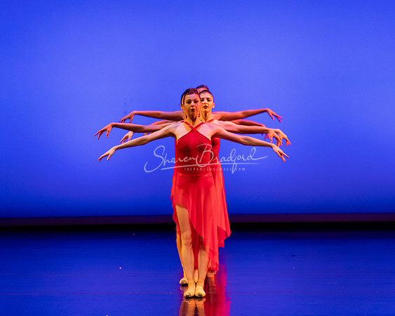 BNT Red Violin pc Sharen Bradford-2900