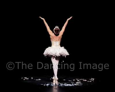 Dying Swan-0525