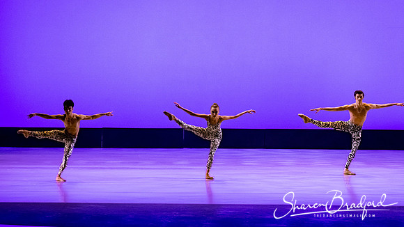 Ballet 37 pc Sharen Bradford-0326