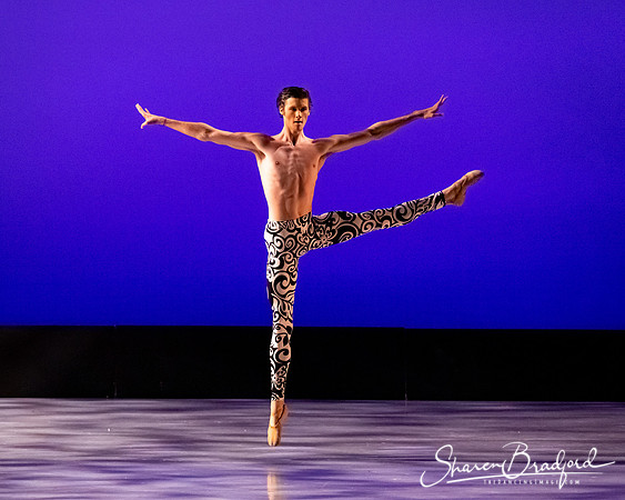 Ballet 37 pc Sharen Bradford-0503
