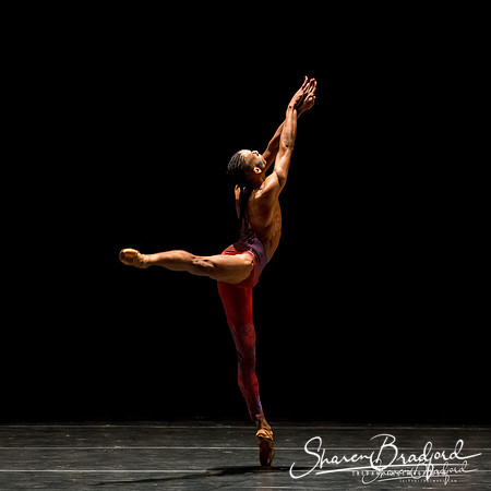 Stardust-pc Sharen Bradford-1260-Edit