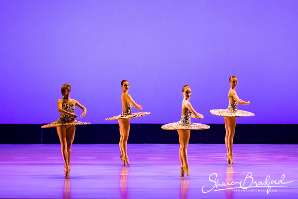Ballet 37 pc Sharen Bradford-0360