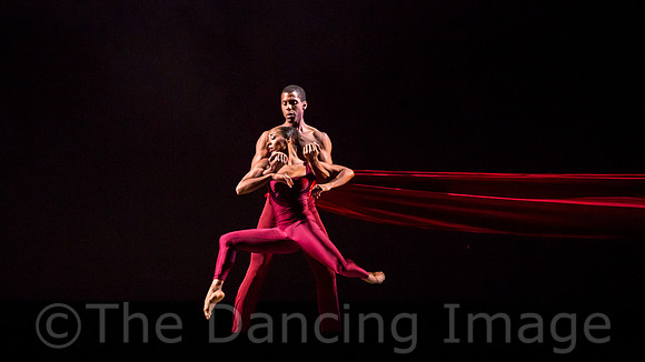 DBDT Encore-8683