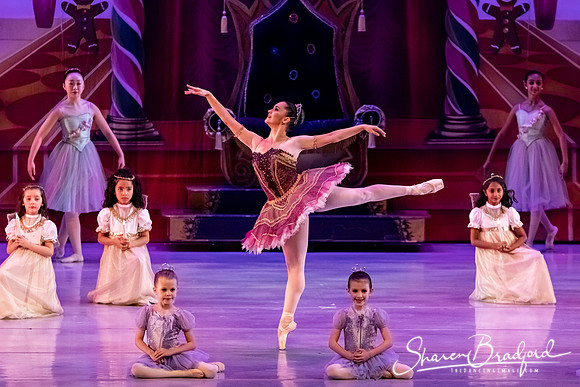 CCBT Nutcracker 19 pc Sharen Bradford-5355