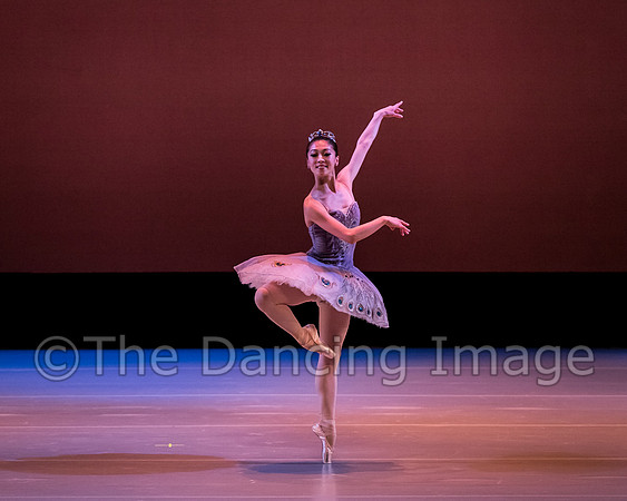 Le Corsaire-3060