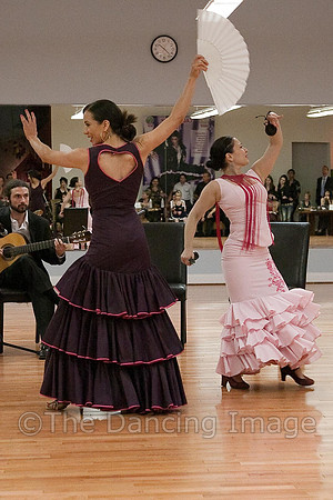 Flamenco-2-80