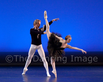 Black Swan-1114