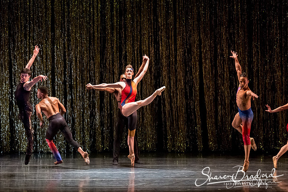 Stardust-pc Sharen Bradford-1042