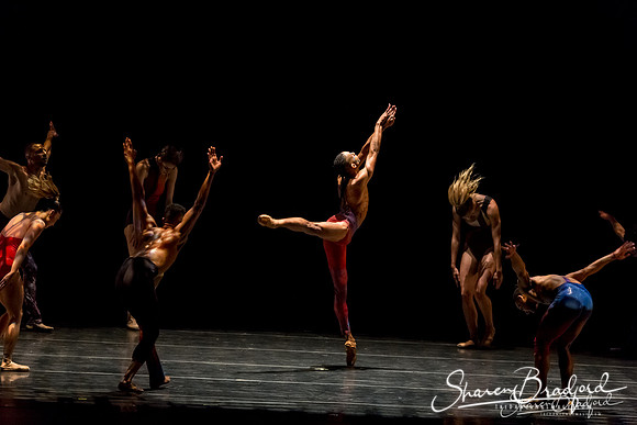 Stardust-pc Sharen Bradford-1260