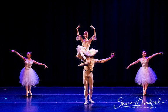 Clara's Dream 2019 pc Sharen Bradford-0371