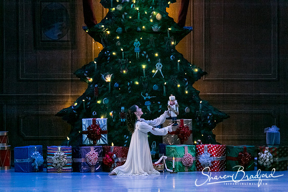 Nutcracker Sun Matinee-2841