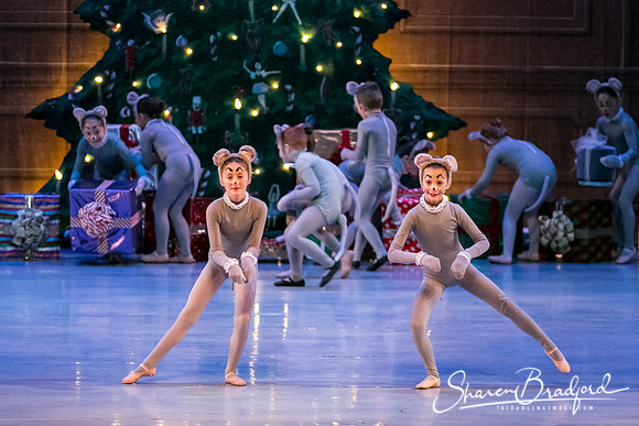 Nutcracker Sun Matinee-2850