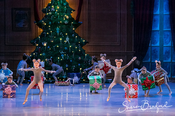 Nutcracker Sun Matinee-2854
