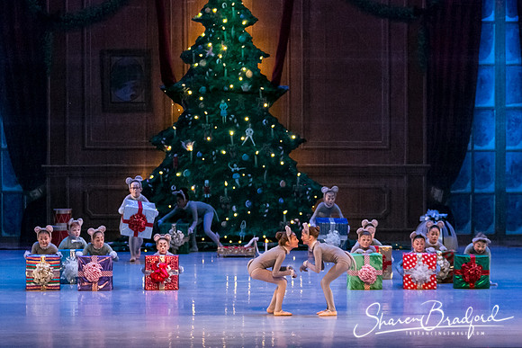 Nutcracker Sun Matinee-2855