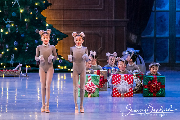 Nutcracker Sun Matinee-2859