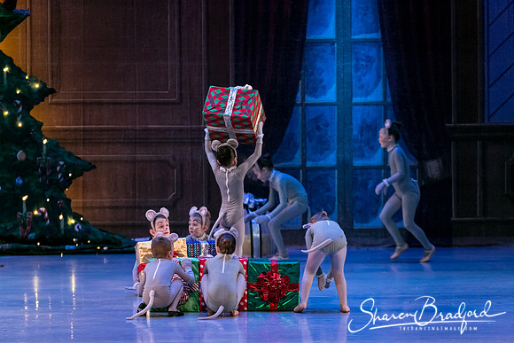 Nutcracker Sun Matinee-2864