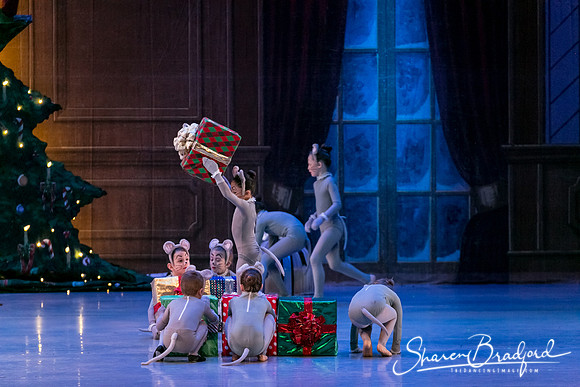 Nutcracker Sun Matinee-2865