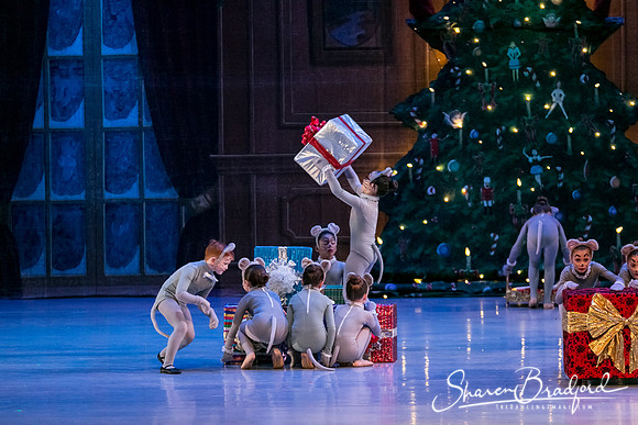 Nutcracker Sun Matinee-2866
