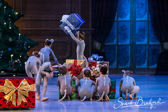 Nutcracker Sun Matinee-2868