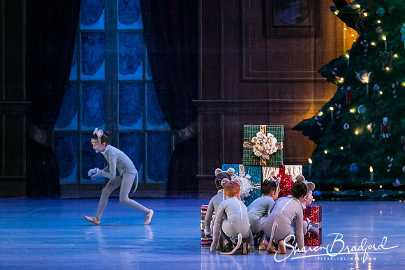 Nutcracker Sun Matinee-2870
