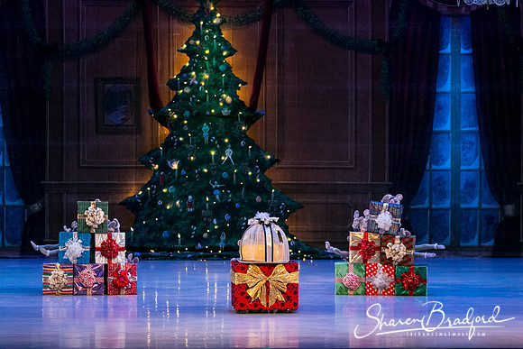 Nutcracker Sun Matinee-2875