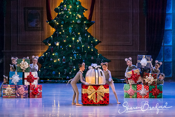 Nutcracker Sun Matinee-2880