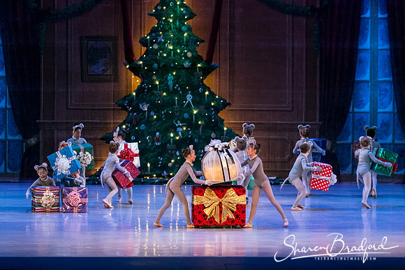 Nutcracker Sun Matinee-2882