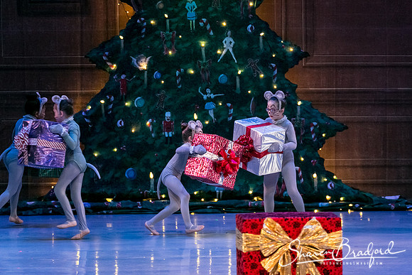 Nutcracker Sun Matinee-2886