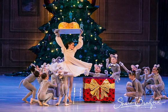 Nutcracker Sun Matinee-2894