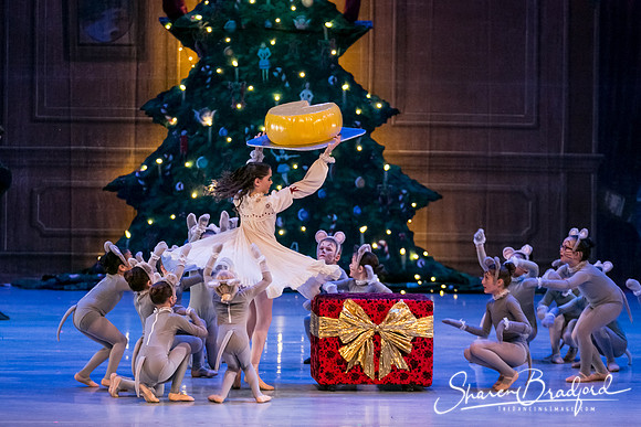 Nutcracker Sun Matinee-2895