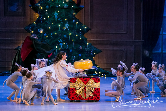 Nutcracker Sun Matinee-2896