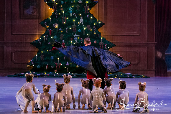 Nutcracker Sun Matinee-2933