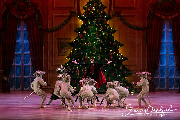 Nutcracker Sun Matinee-2939