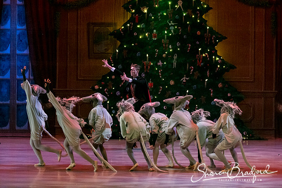 Nutcracker Sun Matinee-2940