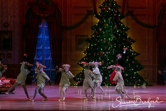 Nutcracker Sun Matinee-2941