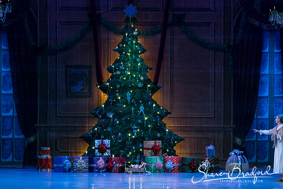 Nutcracker Sun Matinee-2832