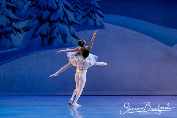 Nutcracker Sun Matinee-3137