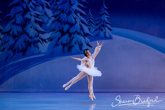 Nutcracker Sun Matinee-3171