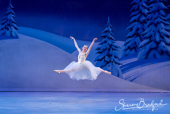 Nutcracker Sun Matinee-3199