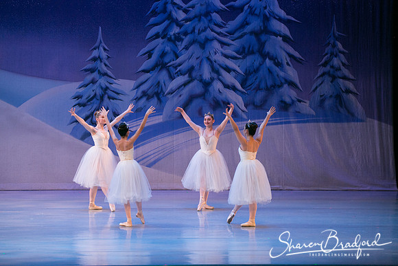 Nutcracker Sun Matinee-3201