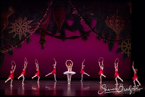 ACB Nutcracker Suite pc Sharen Bradford-2919