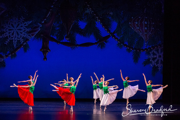 ACB Nutcracker Suite pc Sharen Bradford-3108