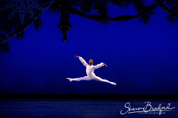 ACB Nutcracker Suite pc Sharen Bradford-3140