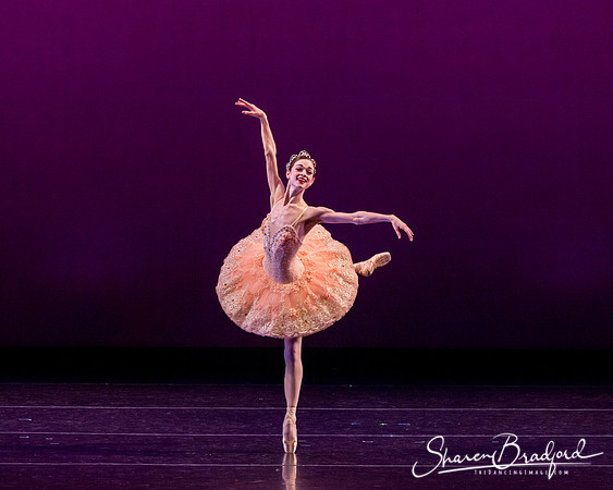 ACB Nutcracker Suite pc Sharen Bradford-3199