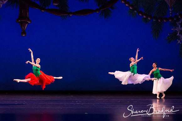 ACB Nutcracker Suite pc Sharen Bradford-3234