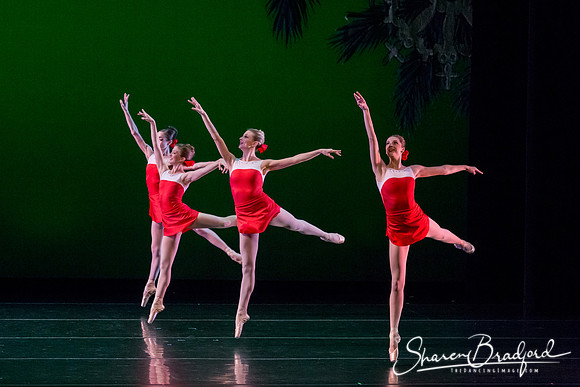 ACB Nutcracker Suite pc Sharen Bradford-3432