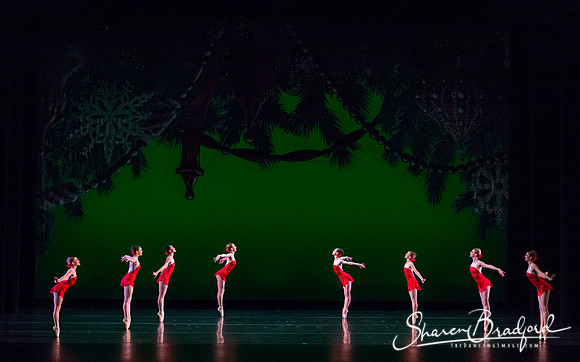 ACB Nutcracker Suite pc Sharen Bradford-3447
