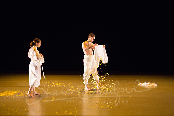 DCCD Yellow - pc Sharen Bradford-0048