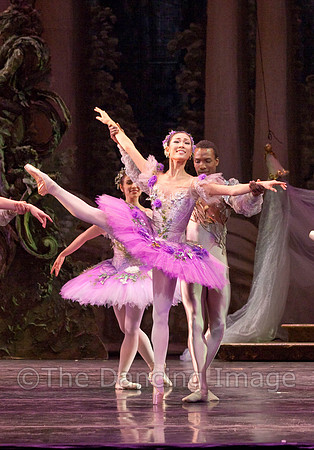 TB Sleeping Beauty Wed.-0104