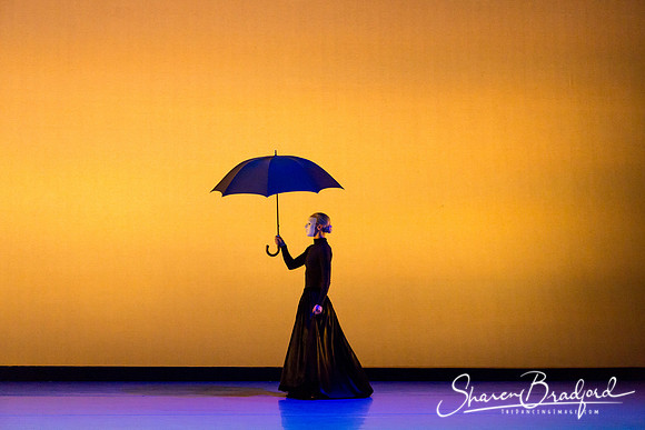 Echoes of Enchantment pc Sharen Bradford-1030